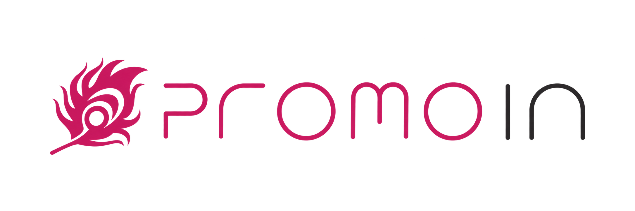 Logo Promo In